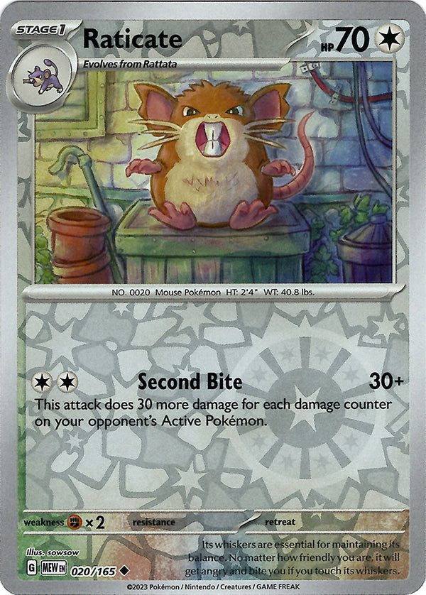 Raticate (Reverse Holo)