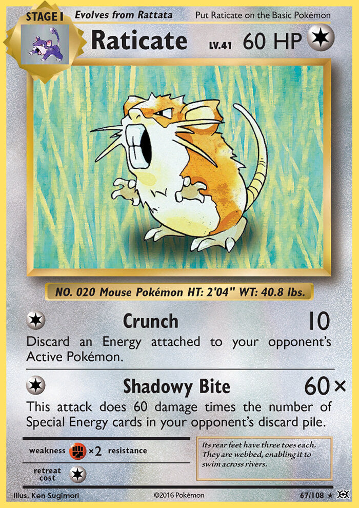Raticate