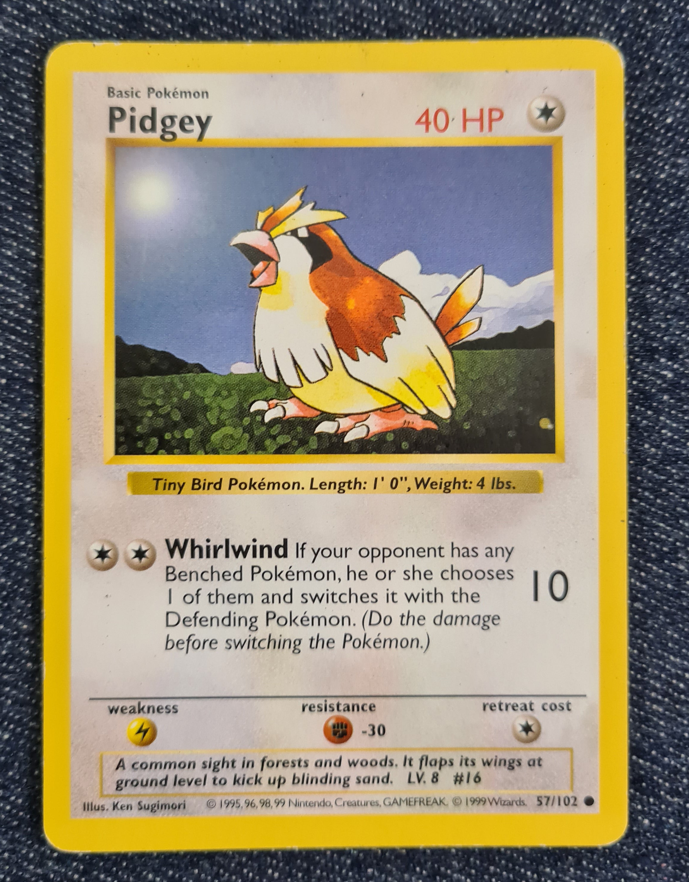 Pidgey (Shadowless)