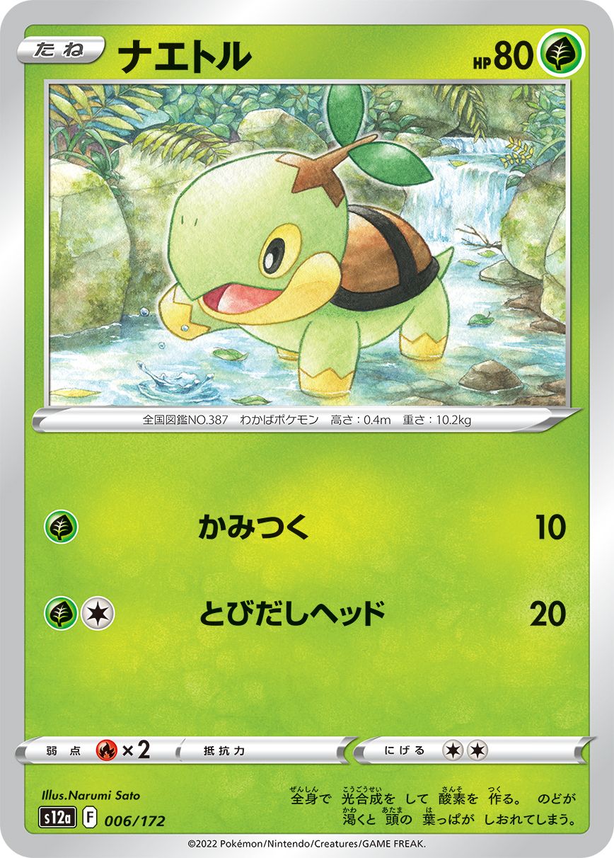 Turtwig (JAPANESE)