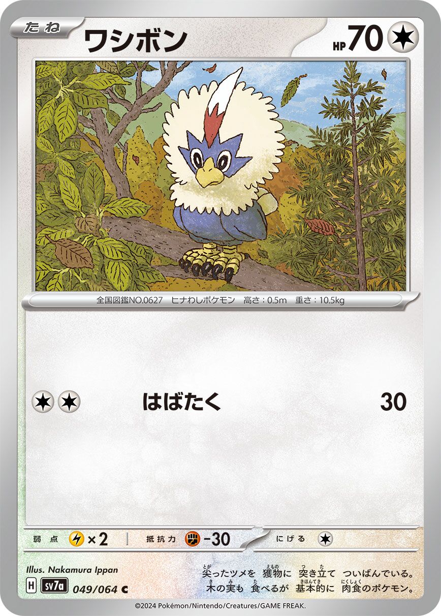 Rufflet [JAPANESE]