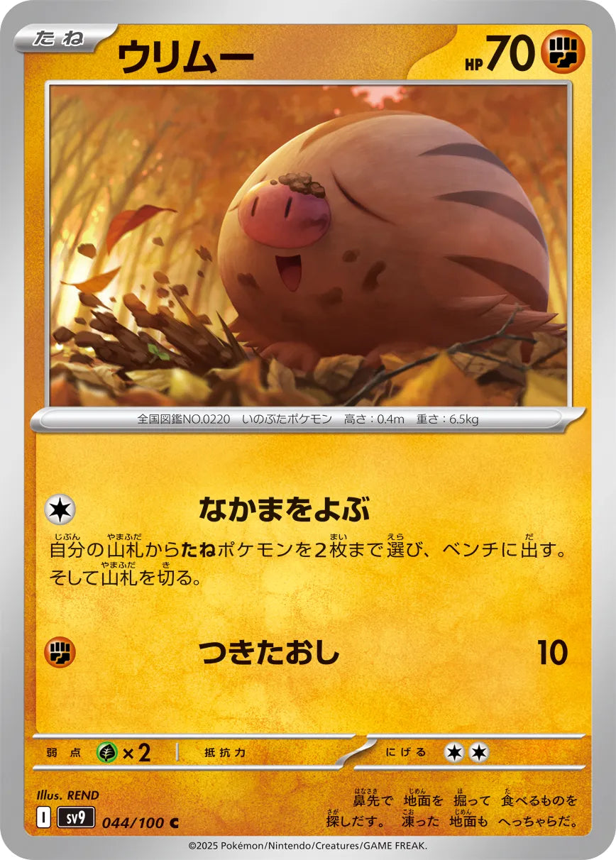 Swinub [JAPANESE]