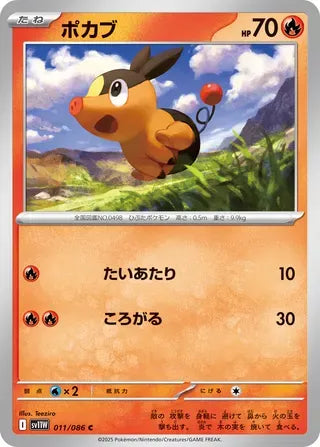 Tepig [JAPANESE]