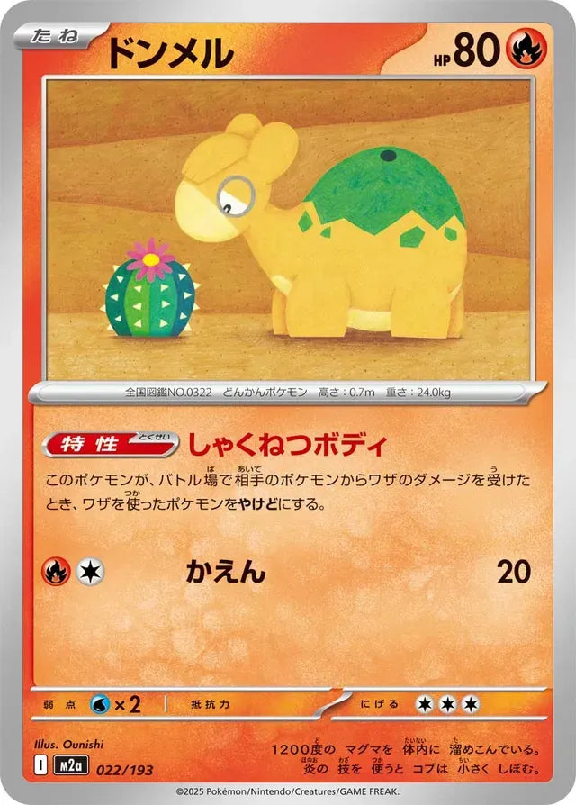 Numel [JAPANESE]