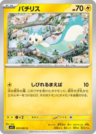 Pachirisu [JAPANESE]