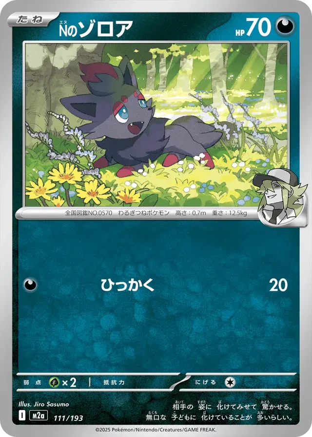 N's Zorua [JAPANESE]