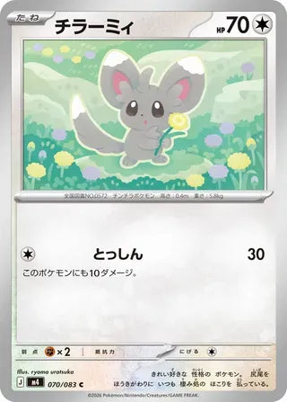 Minccino [JAPANESE]