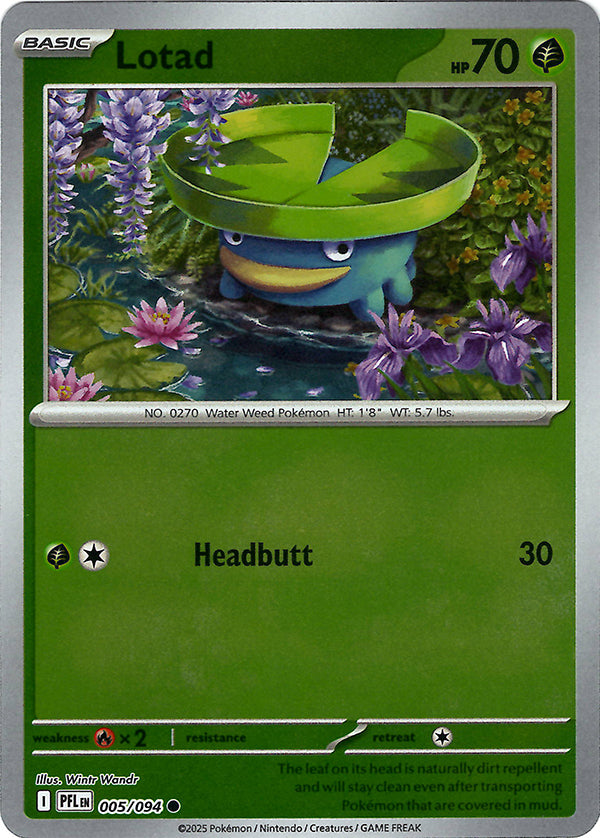 Lotad (Reverse Holo)
