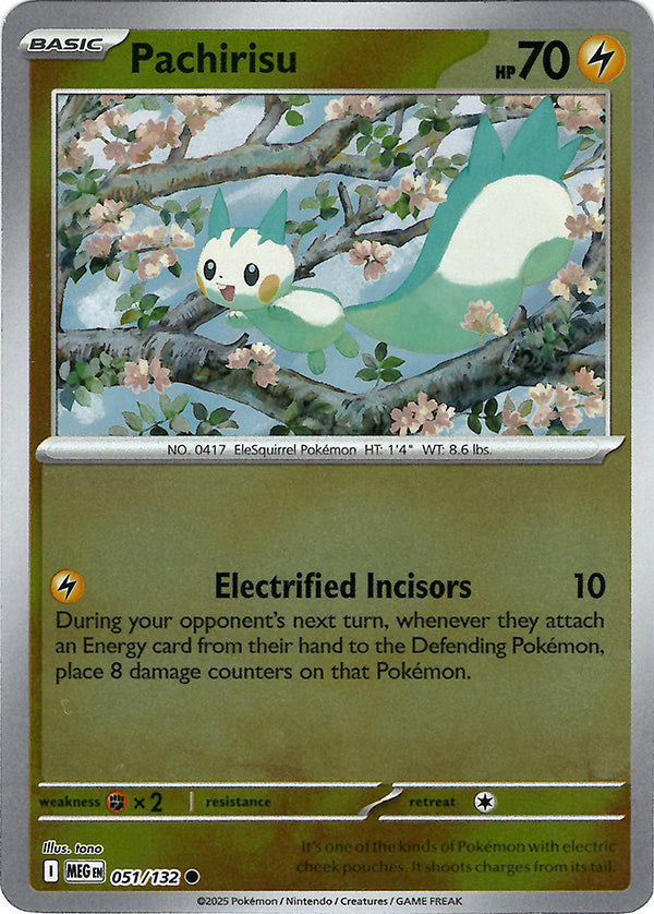 Pachirisu (Reverse Holo)