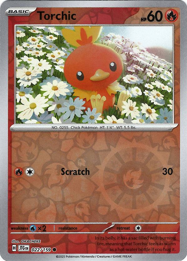 Torchic (Reverse Holo)