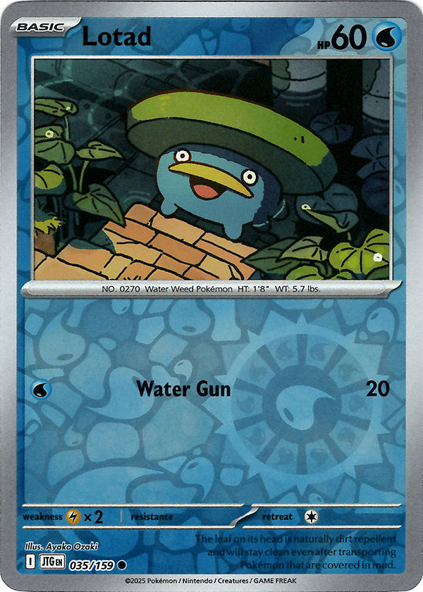 Lotad (Reverse Holo)