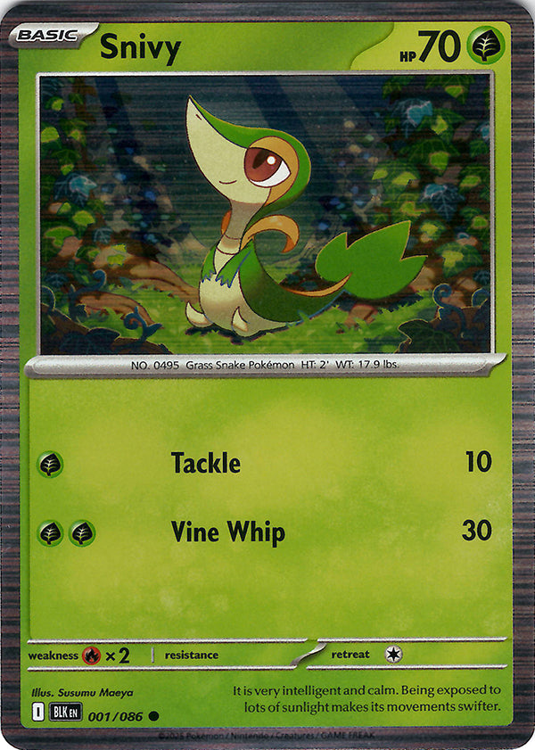 Snivy