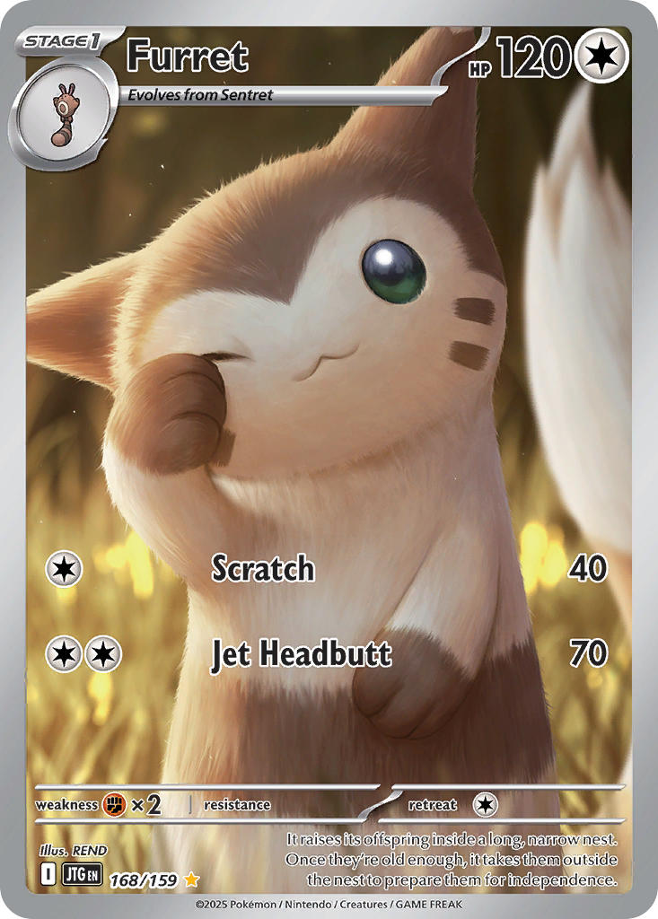 Furret (Illustration Rare)