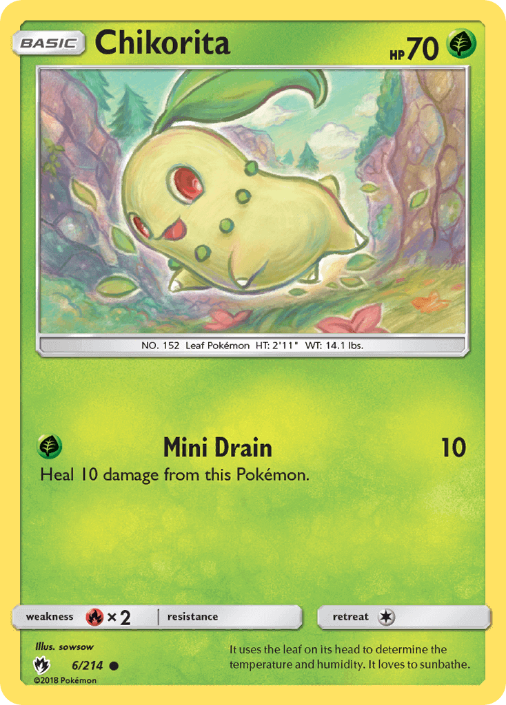 Chikorita (6)