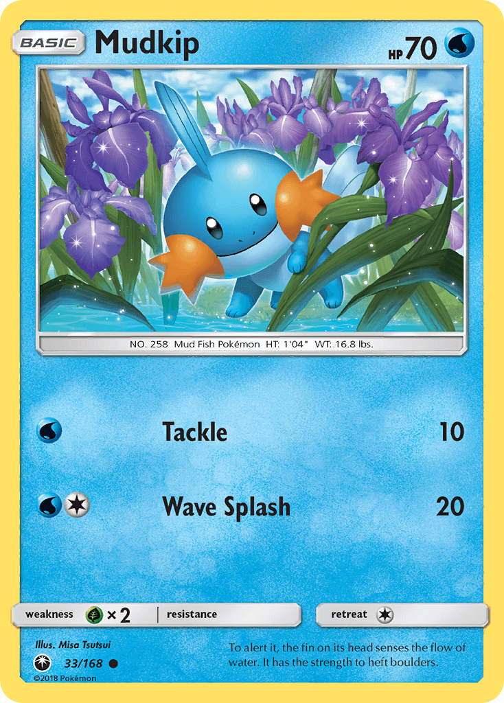 Mudkip (33)