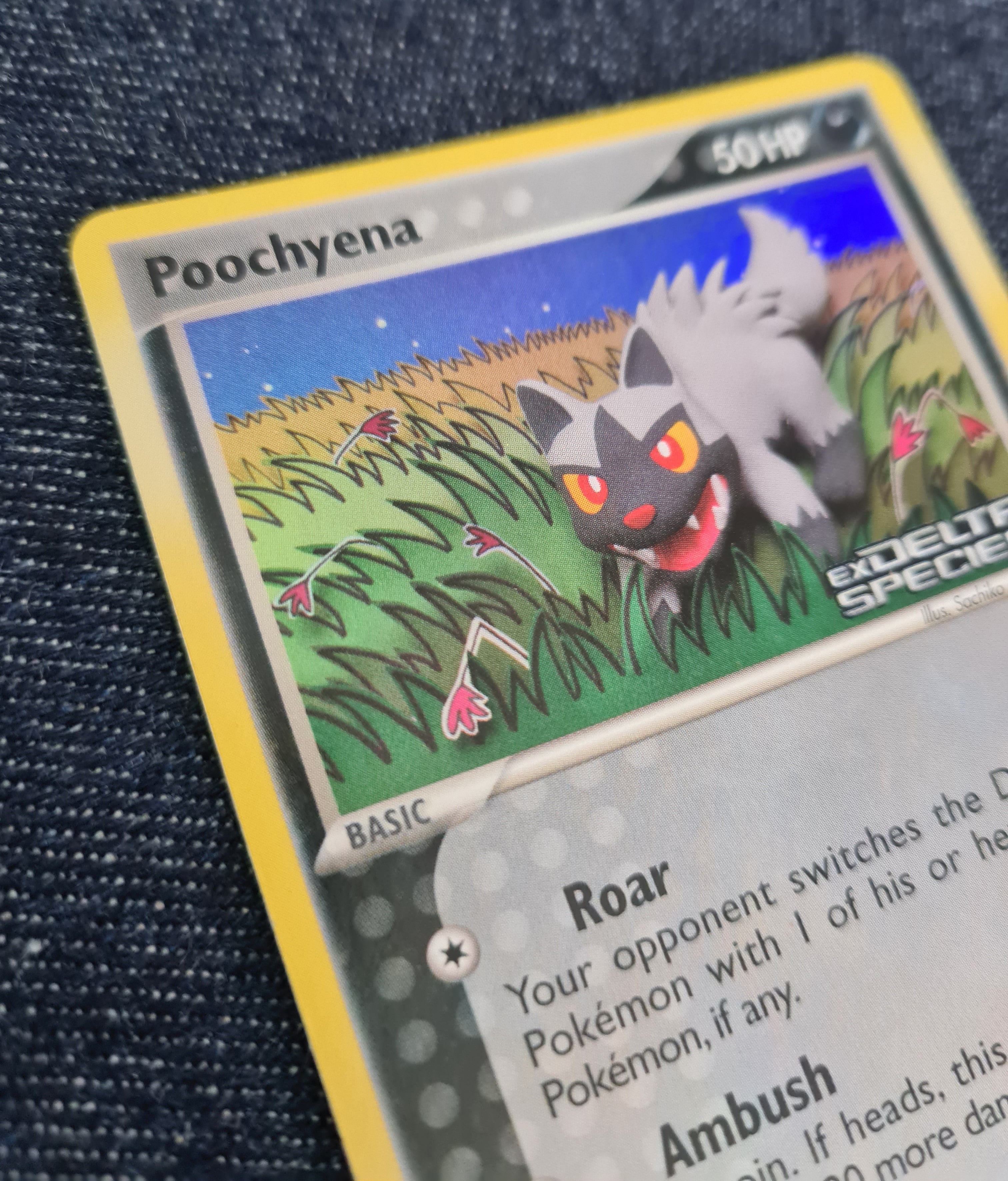 Poochyena (Reverse Holo)