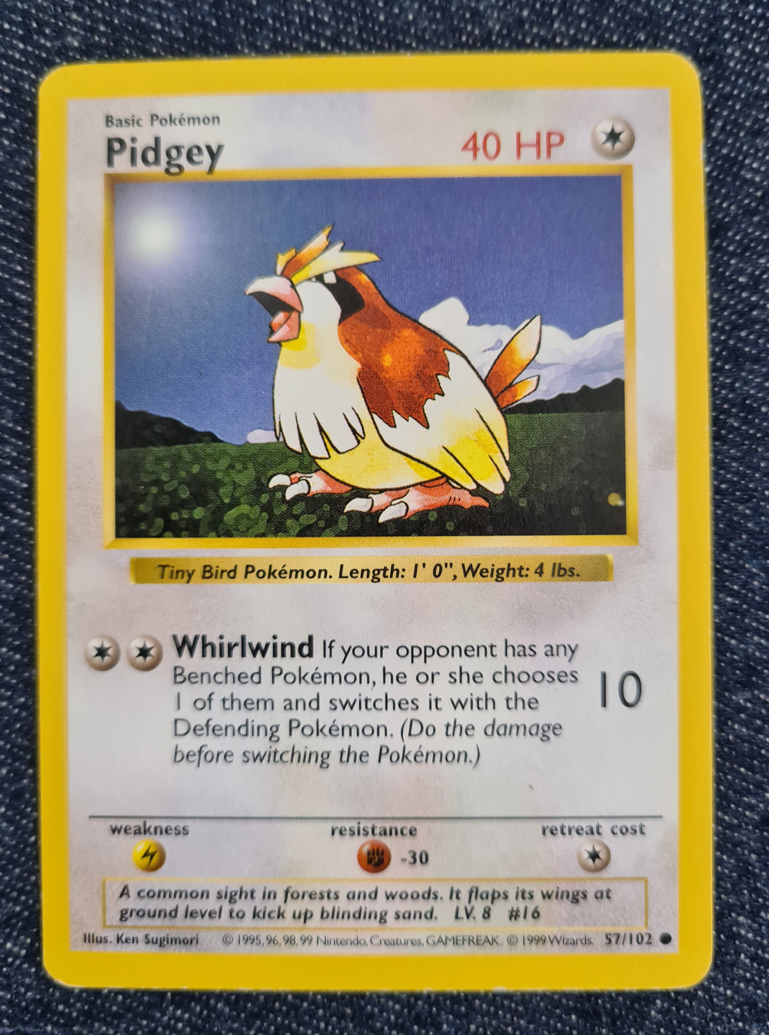 Pidgey (Shadowless)
