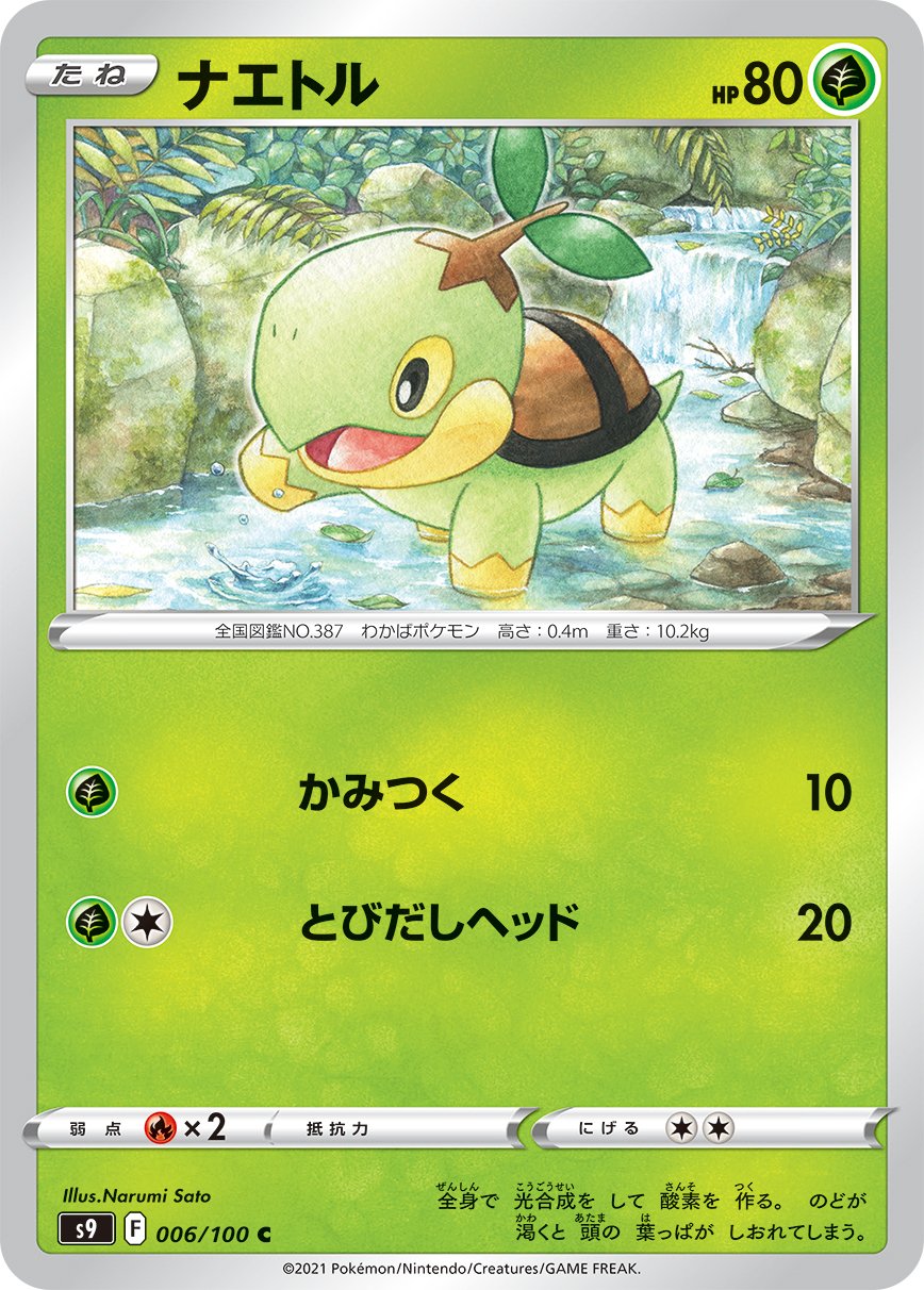 Turtwig [JAPANESE]
