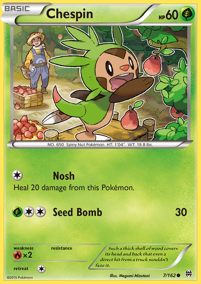 Chespin (7)