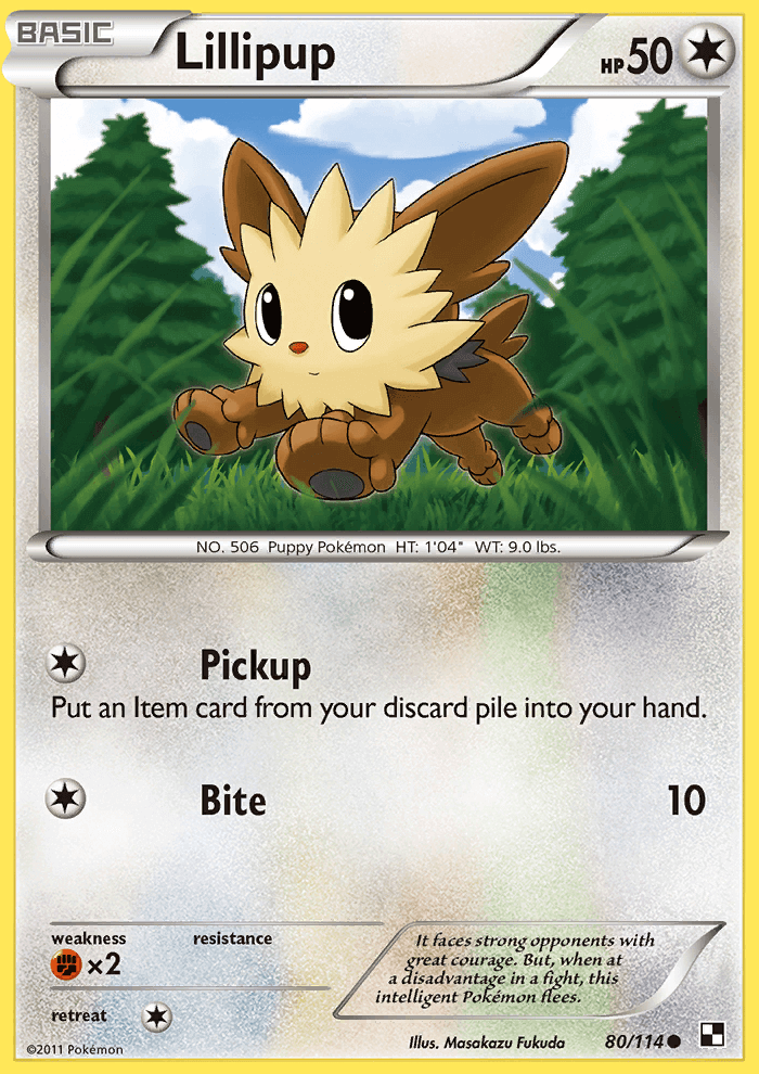 Lillipup (80)