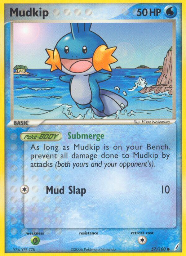 Mudkip (57)