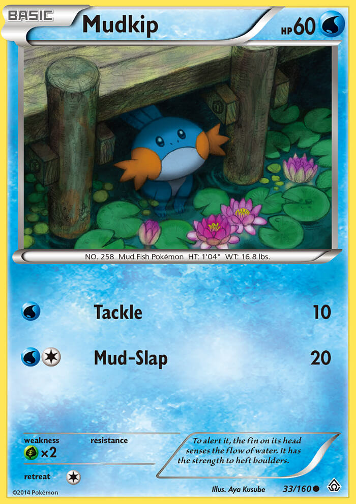 Mudkip