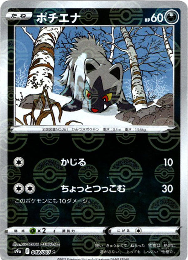Poochyena [JAPANESE]