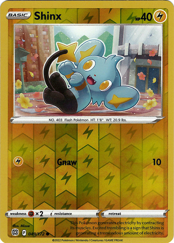 Shinx (Reverse Holos)