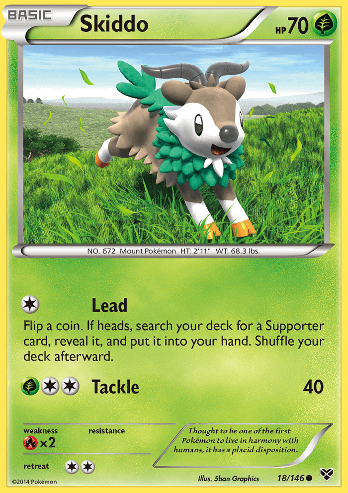 Skiddo