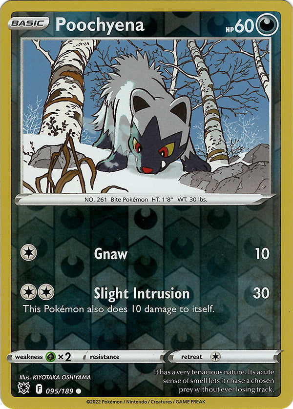 Poochyena (Reverse Holo)