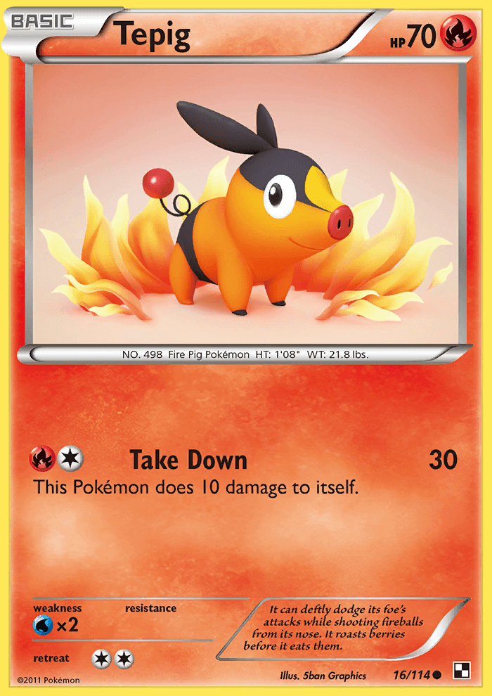 Tepig (16)