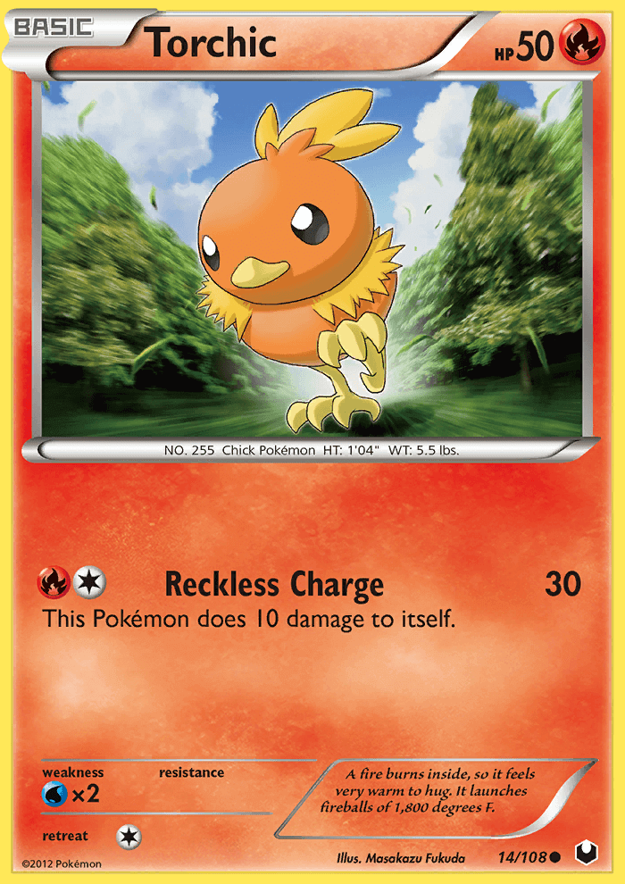 Torchic (14)